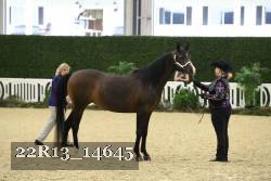 22R13_14645 proof