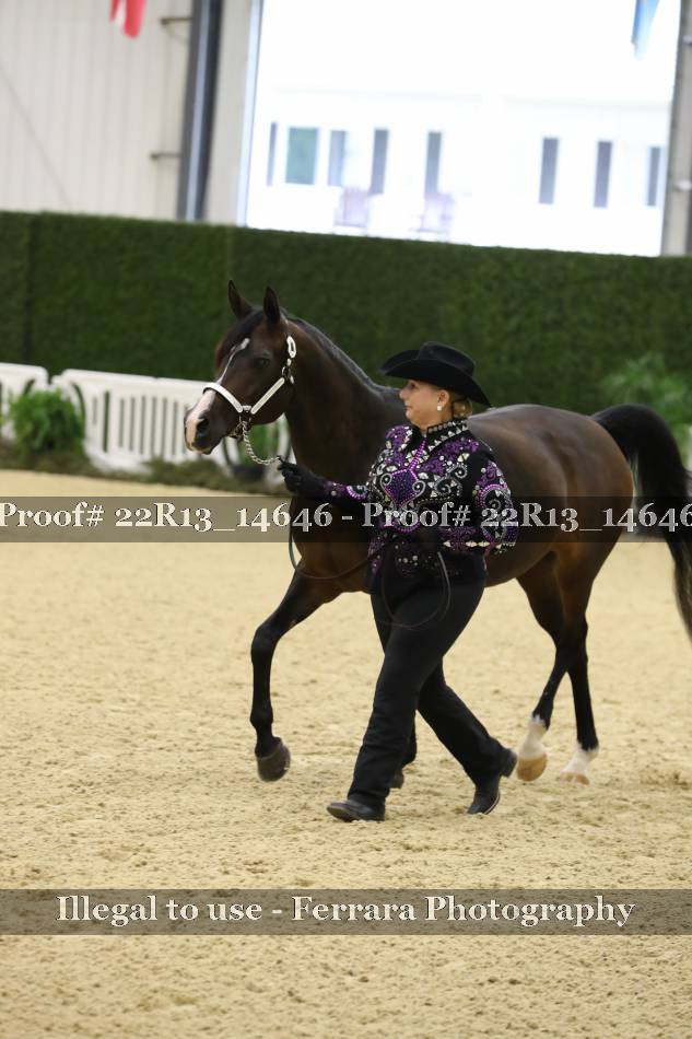 Proof 22R13_14646