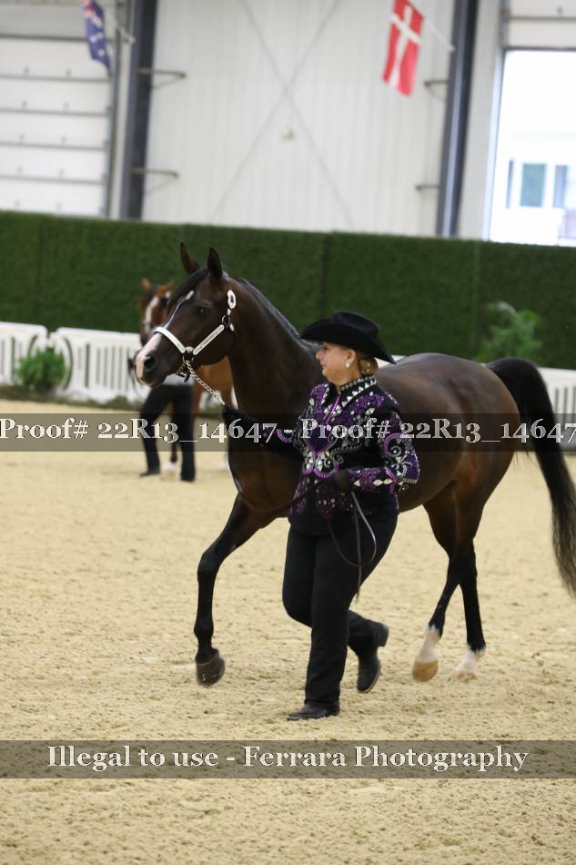 Proof 22R13_14647