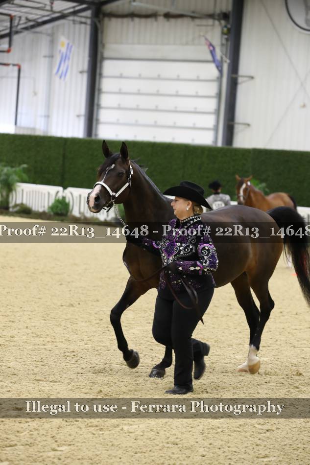 Proof 22R13_14648