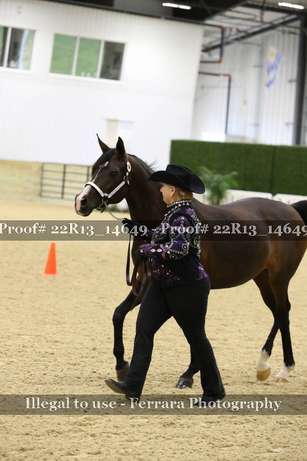 Proof 22R13_14649
