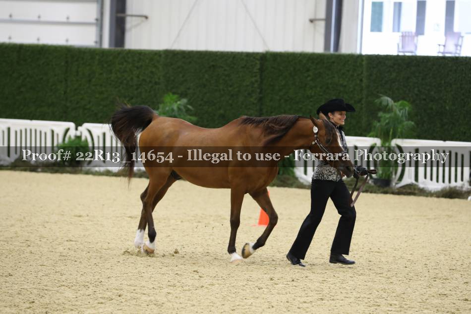 Proof 22R13_14654