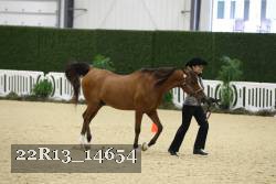 22R13_14654 proof