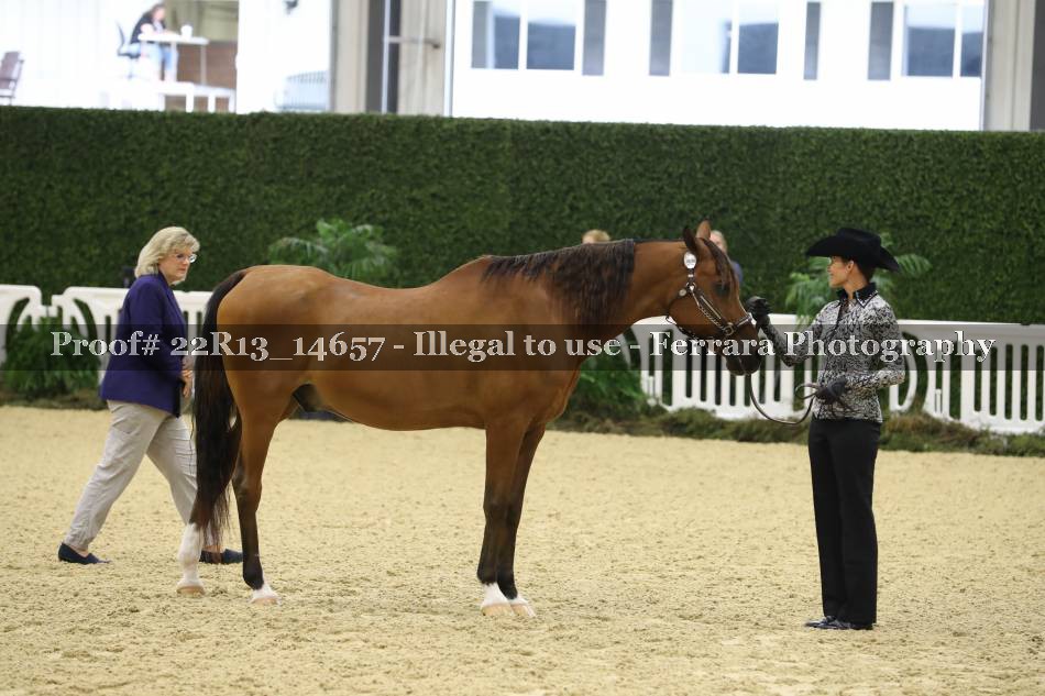 Proof 22R13_14657