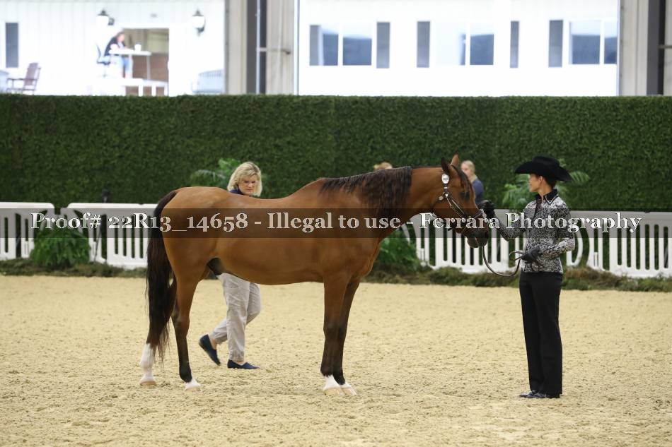Proof 22R13_14658
