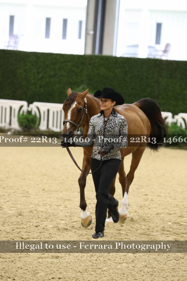 Proof 22R13_14660