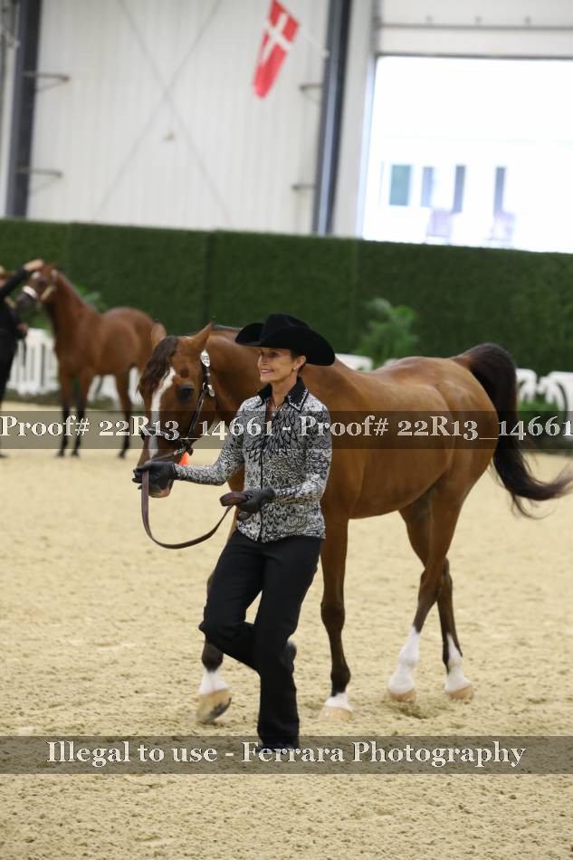 Proof 22R13_14661