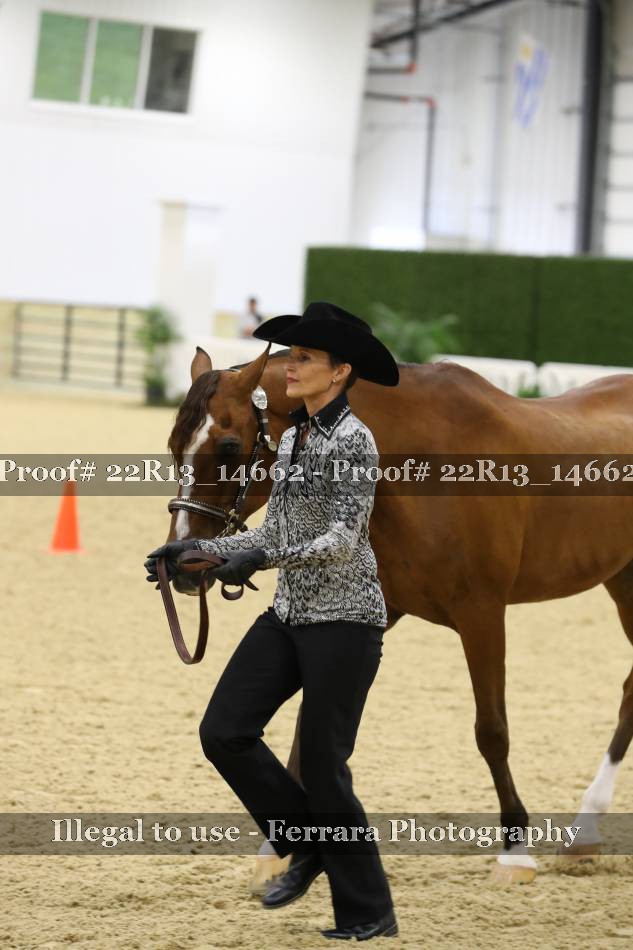 Proof 22R13_14662