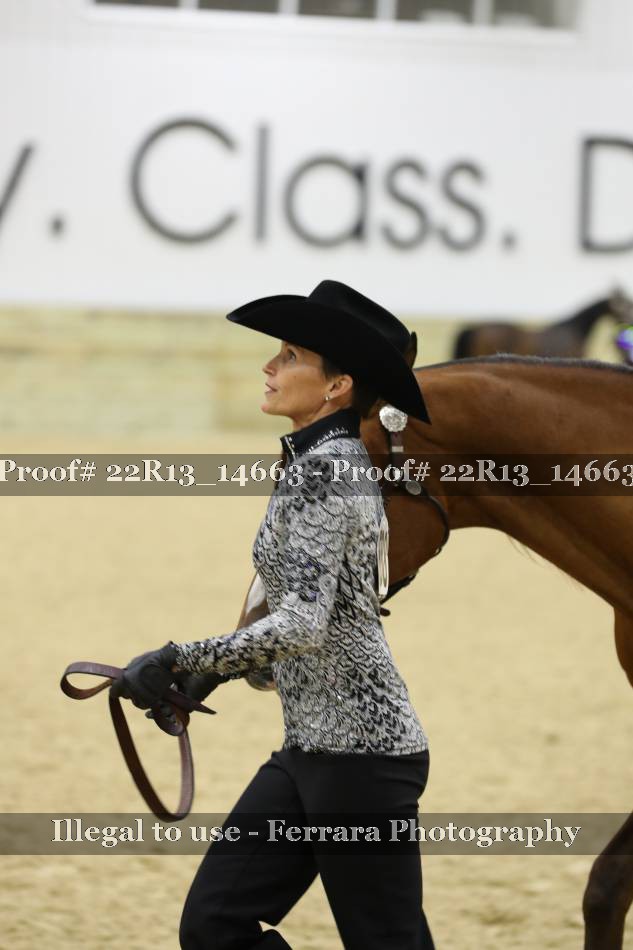 Proof 22R13_14663