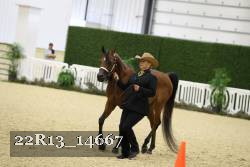 22R13_14667 proof