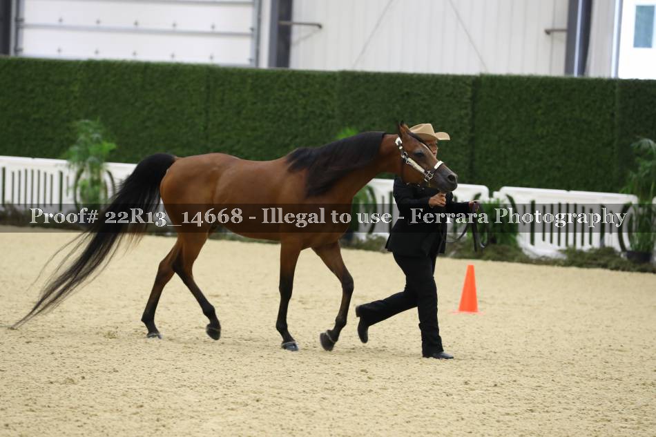 Proof 22R13_14668