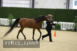 22R13_14668 proof