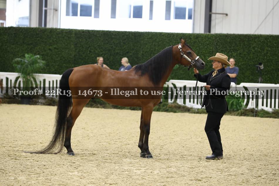 Proof 22R13_14673