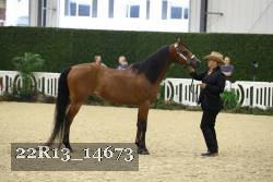 22R13_14673 proof