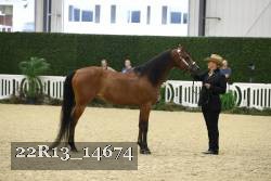 22R13_14674 proof