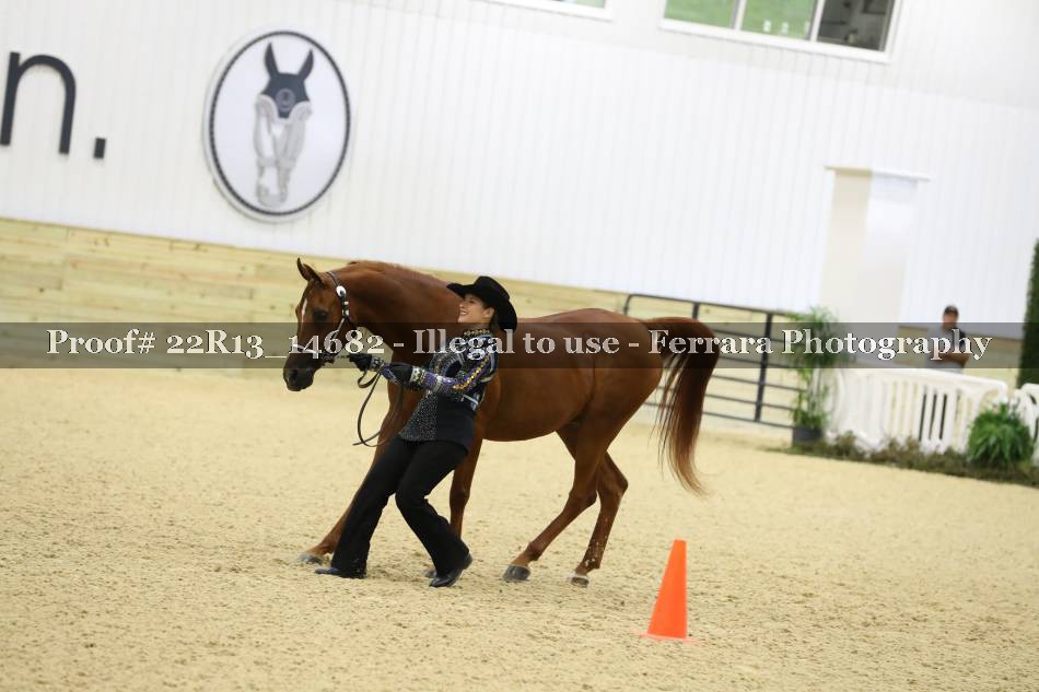 Proof 22R13_14682