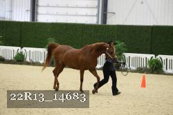 22R13_14683 proof