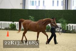 22R13_14685 proof