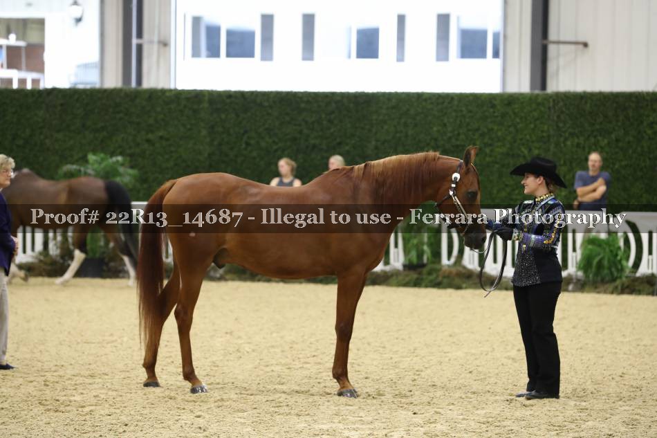Proof 22R13_14687