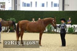22R13_14687 proof