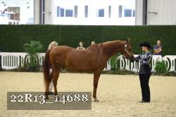 22R13_14688 proof