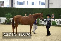 22R13_14689 proof