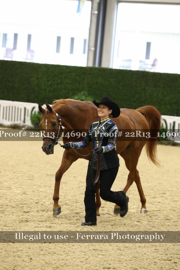 Proof 22R13_14690
