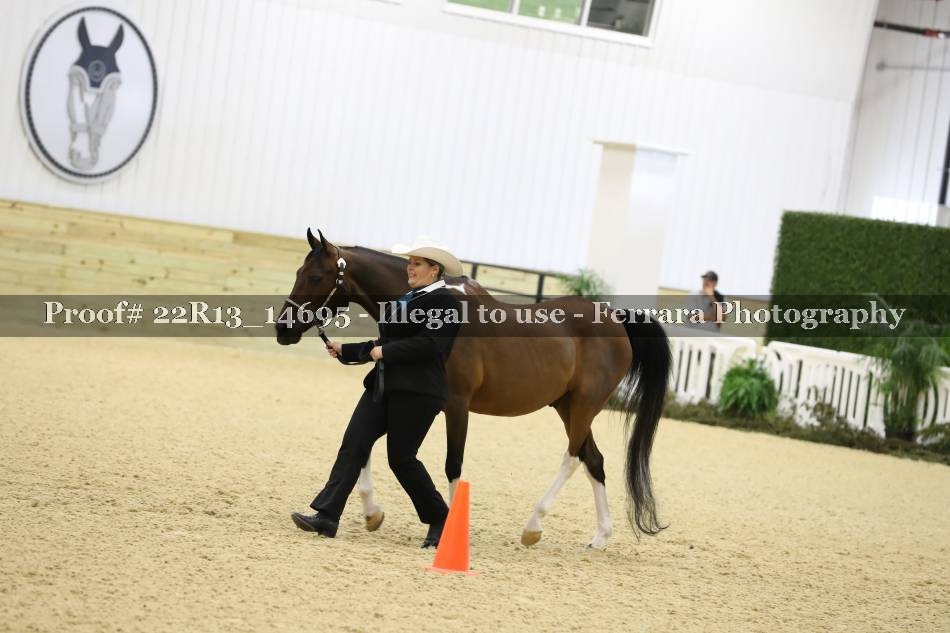 Proof 22R13_14695
