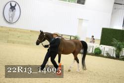 22R13_14695 proof