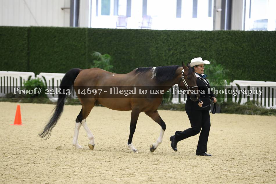 Proof 22R13_14697