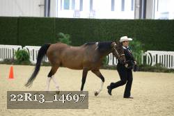 22R13_14697 proof