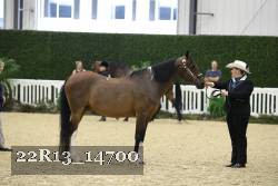 22R13_14700 proof