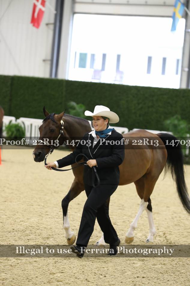 Proof 22R13_14703