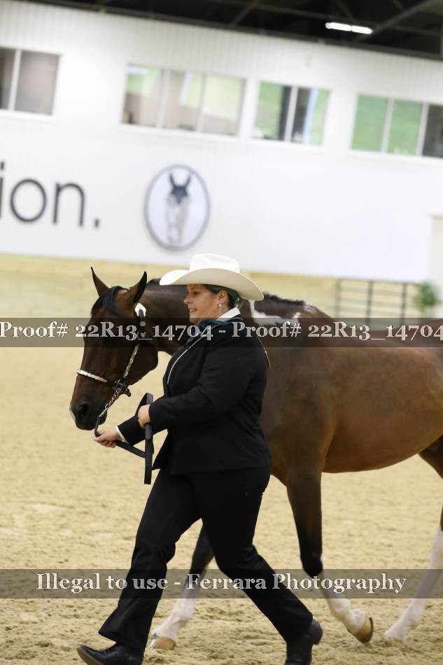 Proof 22R13_14704