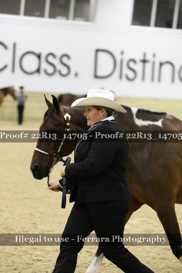 Proof 22R13_14705