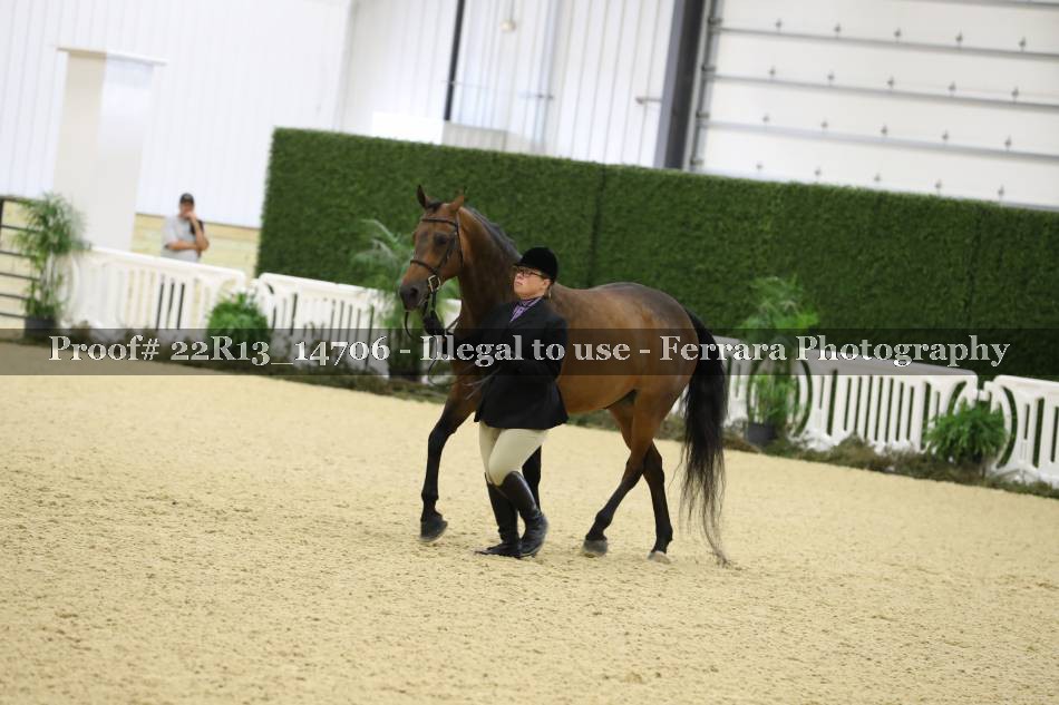 Proof 22R13_14706