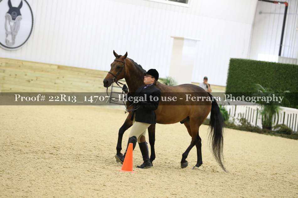 Proof 22R13_14707