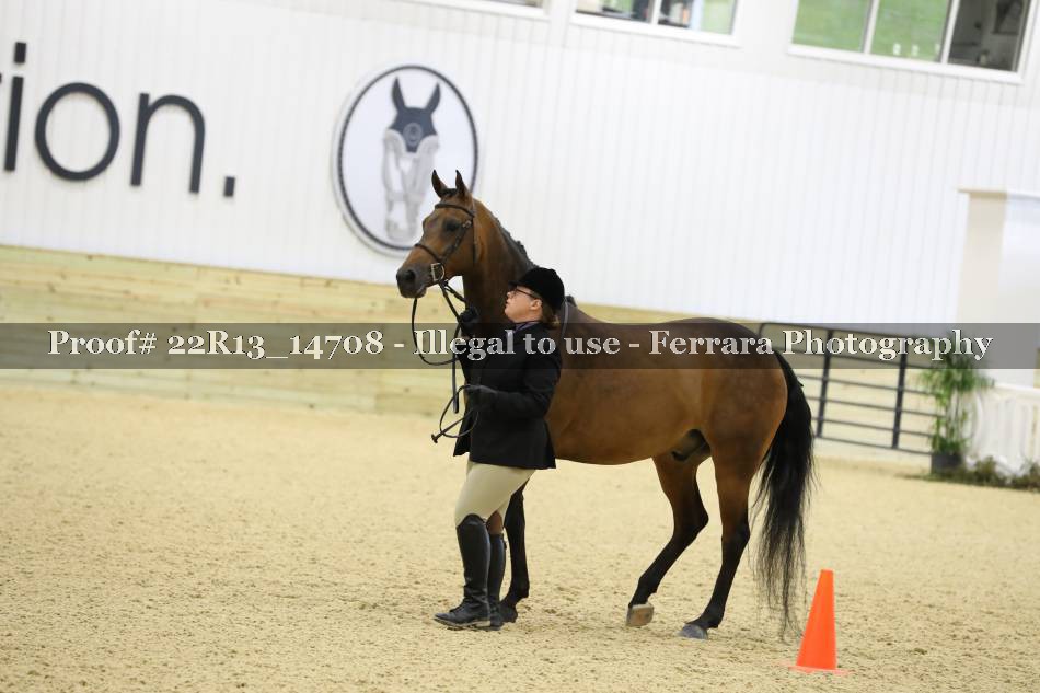 Proof 22R13_14708