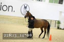 22R13_14708 proof