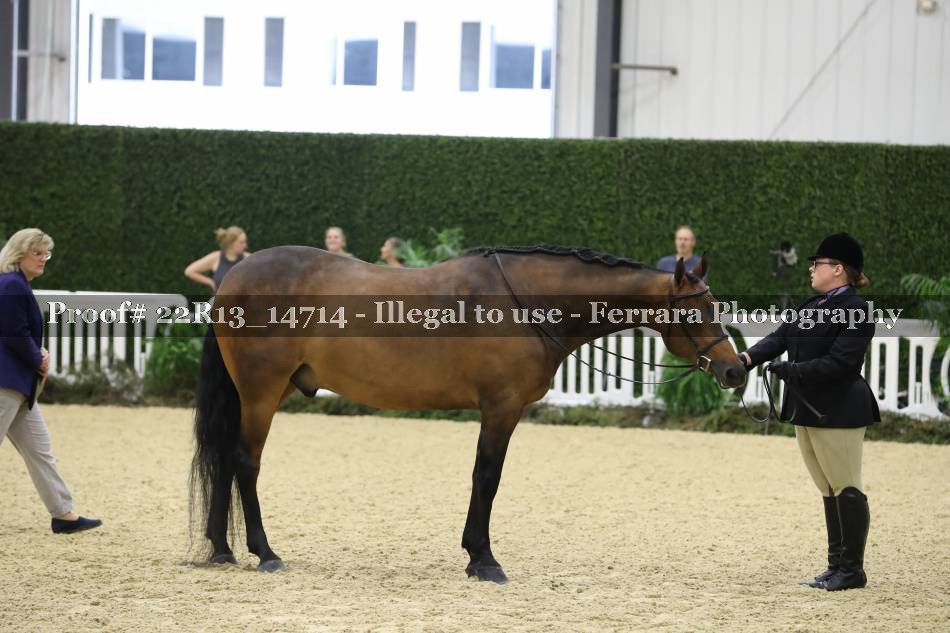 Proof 22R13_14714