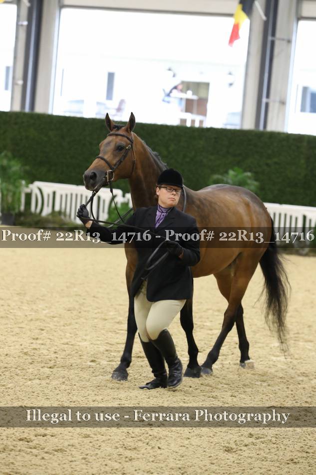 Proof 22R13_14716