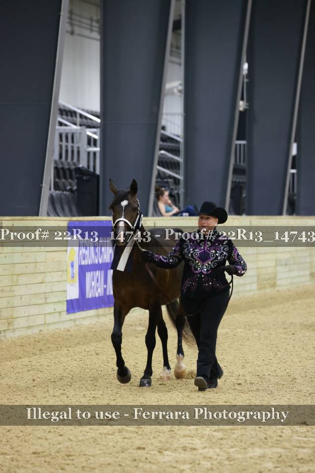 Proof 22R13_14743