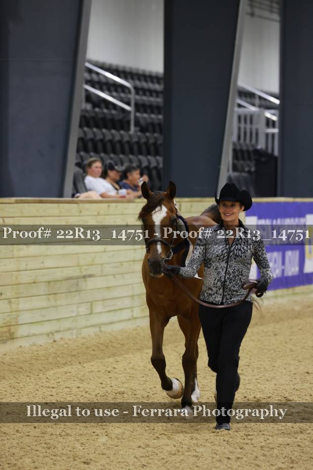 Proof 22R13_14751