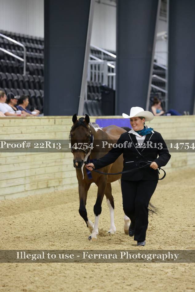 Proof 22R13_14754