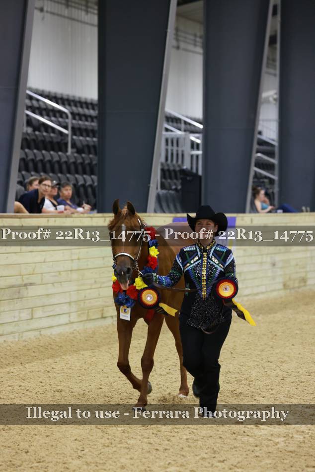 Proof 22R13_14775
