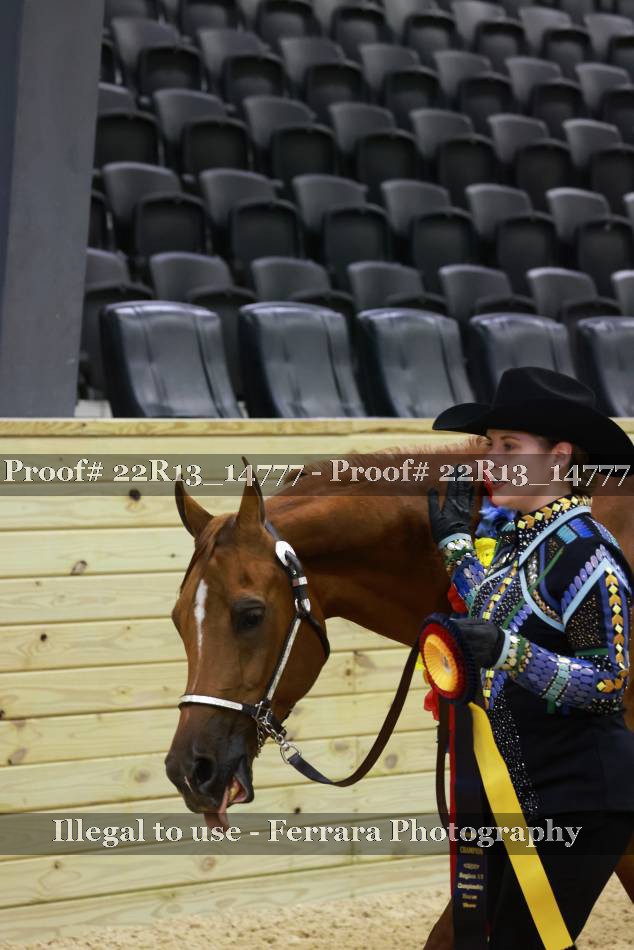 Proof 22R13_14777