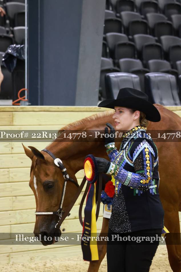 Proof 22R13_14778
