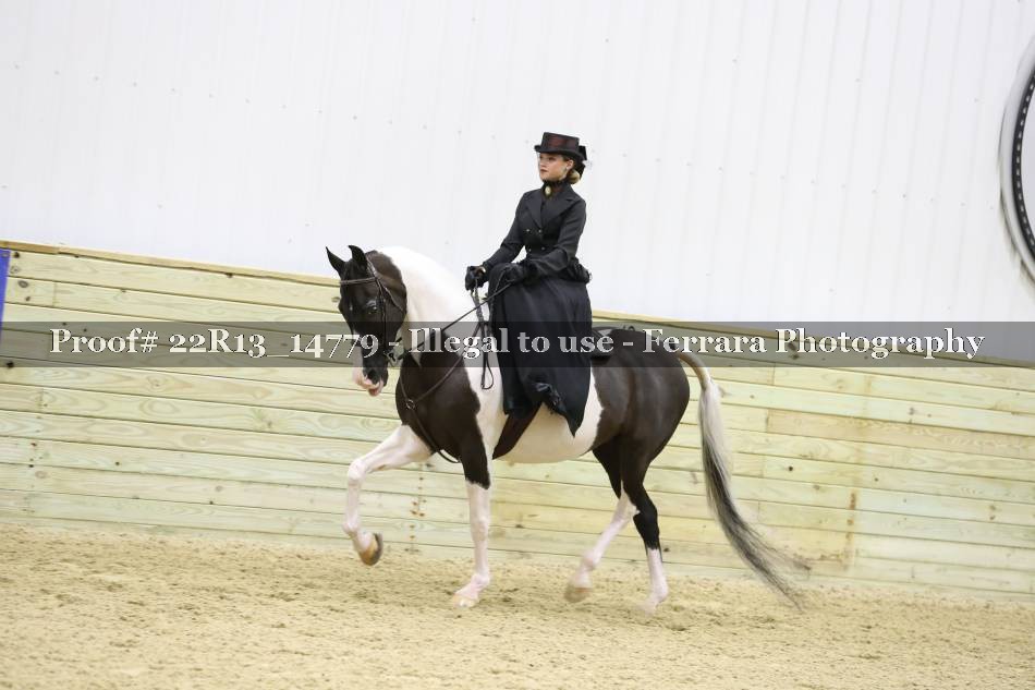 Proof 22R13_14779