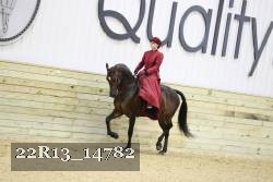 22R13_14782 proof