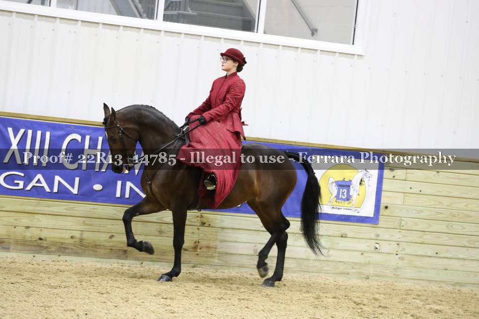 Proof 22R13_14785